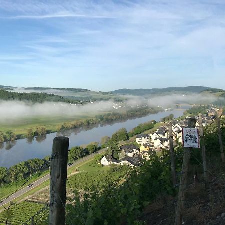 Wein- Und Gaestehaus Genetsch Lieser Εξωτερικό φωτογραφία