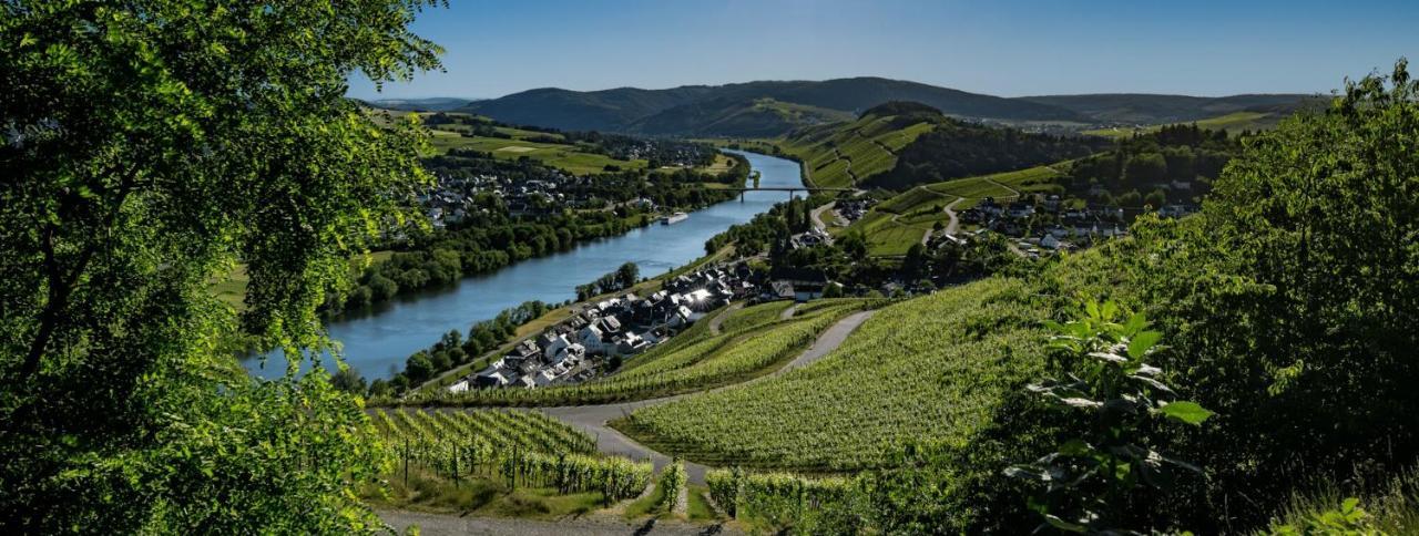 Wein- Und Gaestehaus Genetsch Lieser Εξωτερικό φωτογραφία