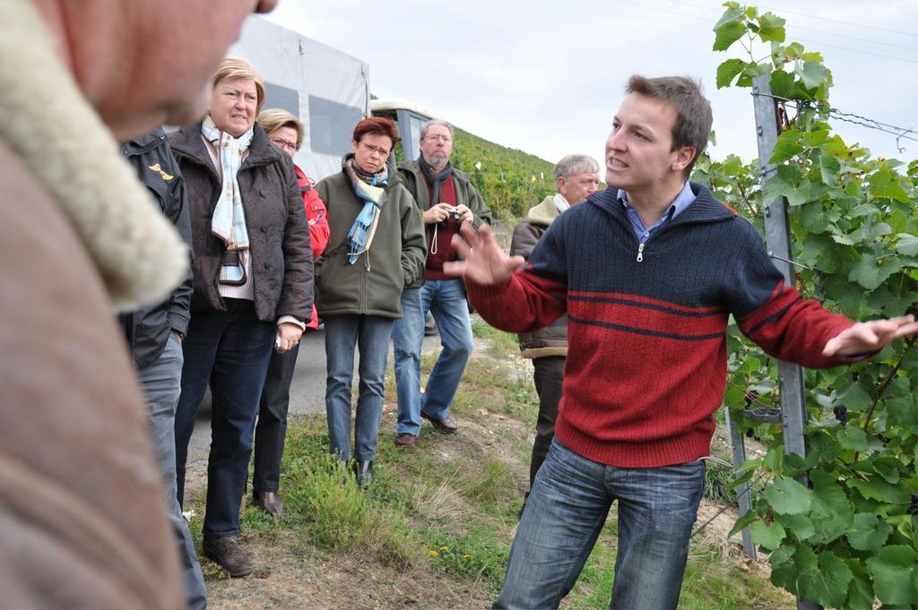 Wein- Und Gaestehaus Genetsch Lieser Εξωτερικό φωτογραφία