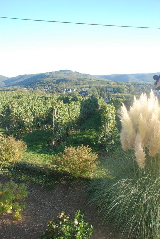 Wein- Und Gaestehaus Genetsch Lieser Εξωτερικό φωτογραφία