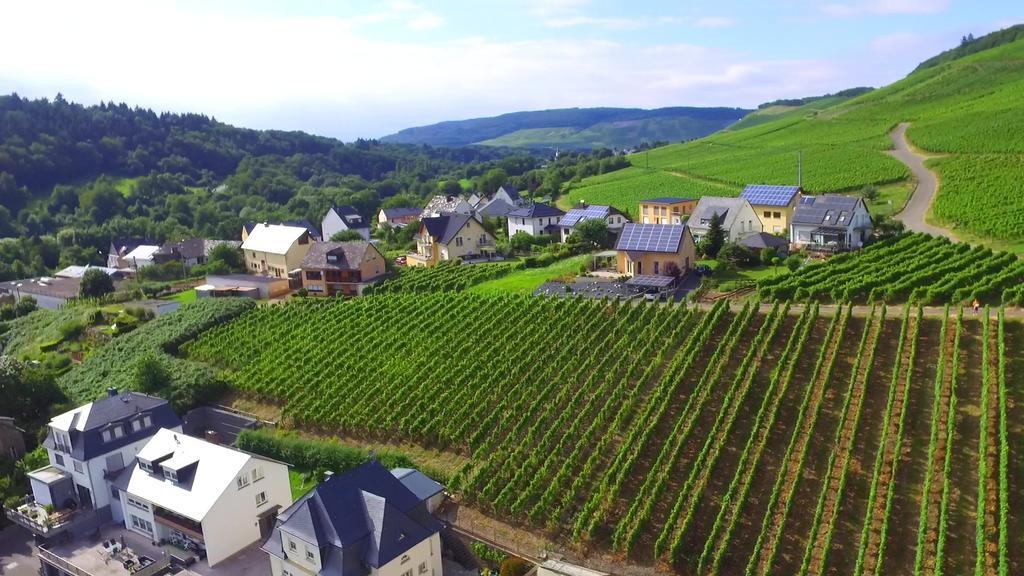 Wein- Und Gaestehaus Genetsch Lieser Εξωτερικό φωτογραφία