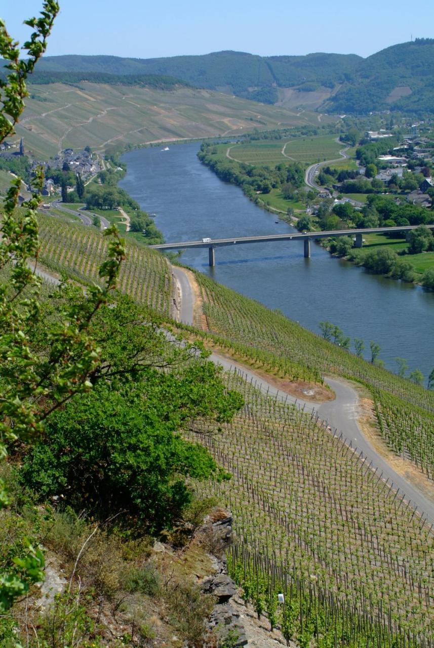 Wein- Und Gaestehaus Genetsch Lieser Εξωτερικό φωτογραφία
