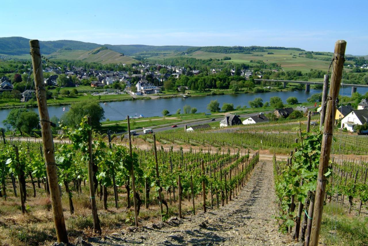 Wein- Und Gaestehaus Genetsch Lieser Εξωτερικό φωτογραφία