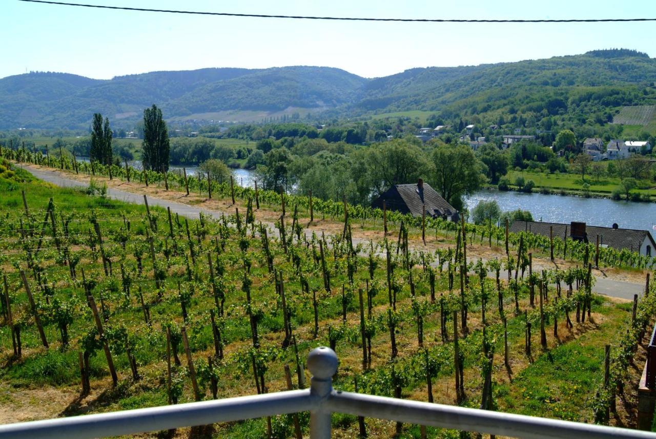 Wein- Und Gaestehaus Genetsch Lieser Εξωτερικό φωτογραφία