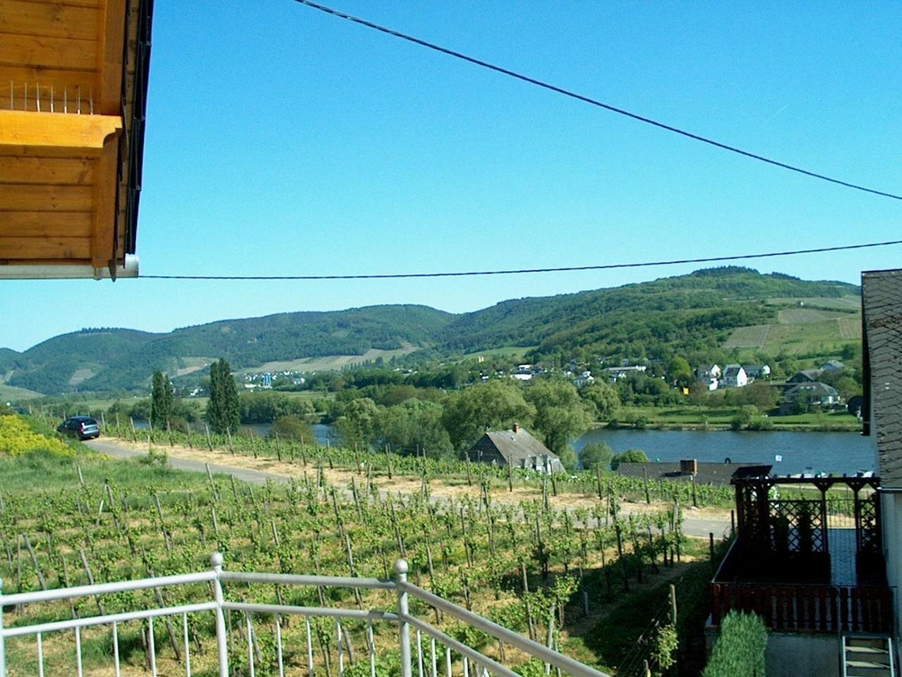 Wein- Und Gaestehaus Genetsch Lieser Εξωτερικό φωτογραφία