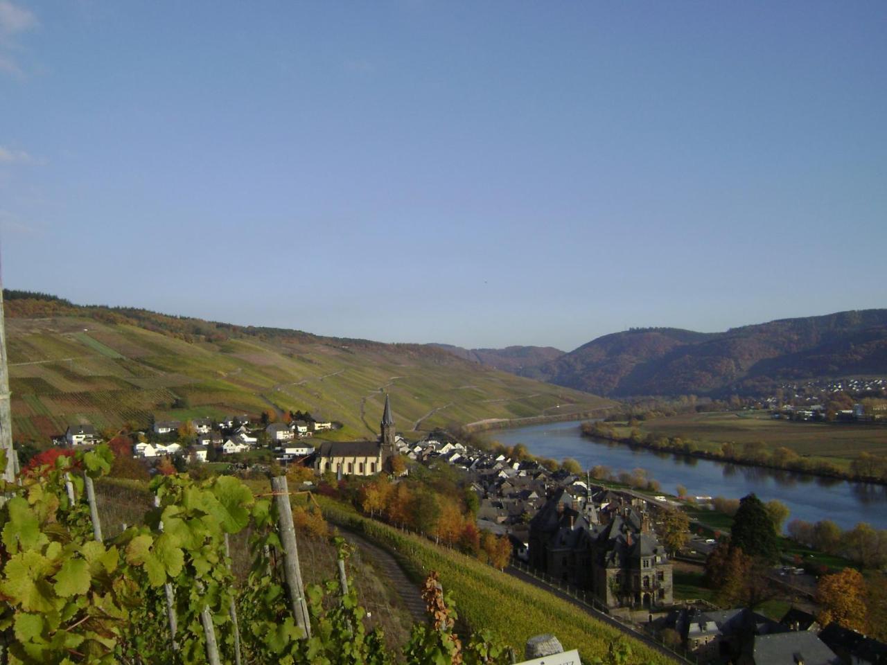 Wein- Und Gaestehaus Genetsch Lieser Εξωτερικό φωτογραφία