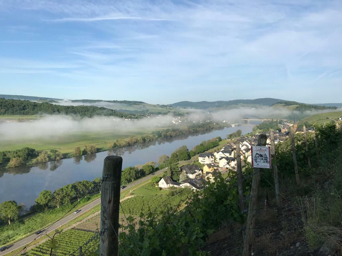 Wein- Und Gaestehaus Genetsch Lieser Εξωτερικό φωτογραφία